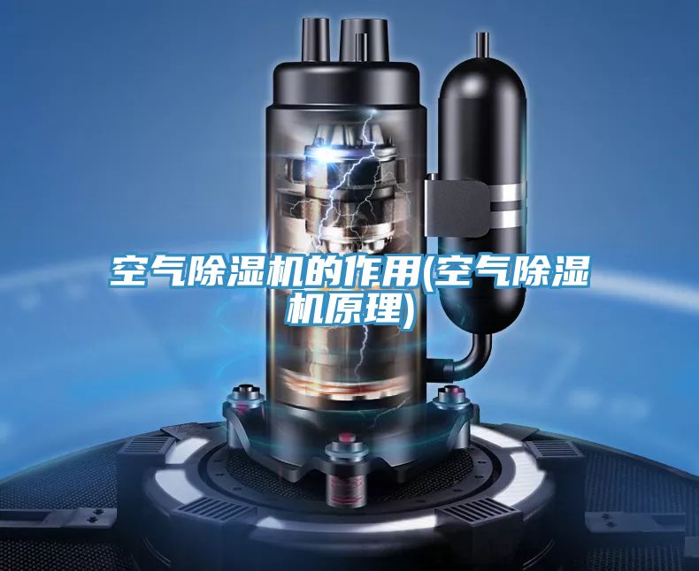 空氣PICACG哔咔官网入口的作用(空氣PICACG哔咔官网入口原理)