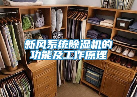 新風係統PICACG哔咔官网入口的功能及工作原理