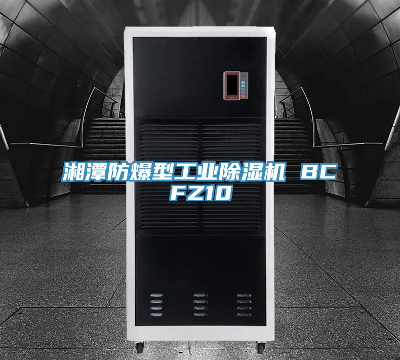 湘潭防爆型工業PICACG哔咔官网入口 BCFZ10