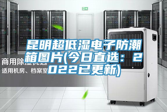 昆明超低濕電子防潮箱圖片(今日直選：2022已更新)