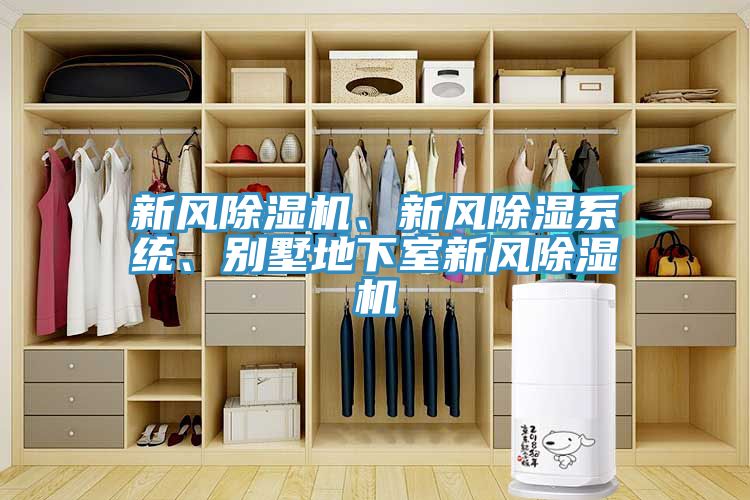 新風PICACG哔咔官网入口、新風除濕係統、別墅地下室新風PICACG哔咔官网入口