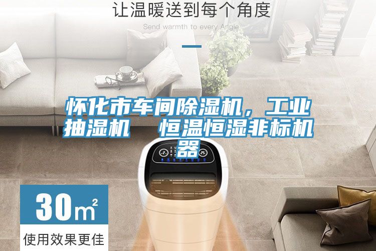 懷化市車間PICACG哔咔官网入口，工業抽濕機  恒溫恒濕非標機器