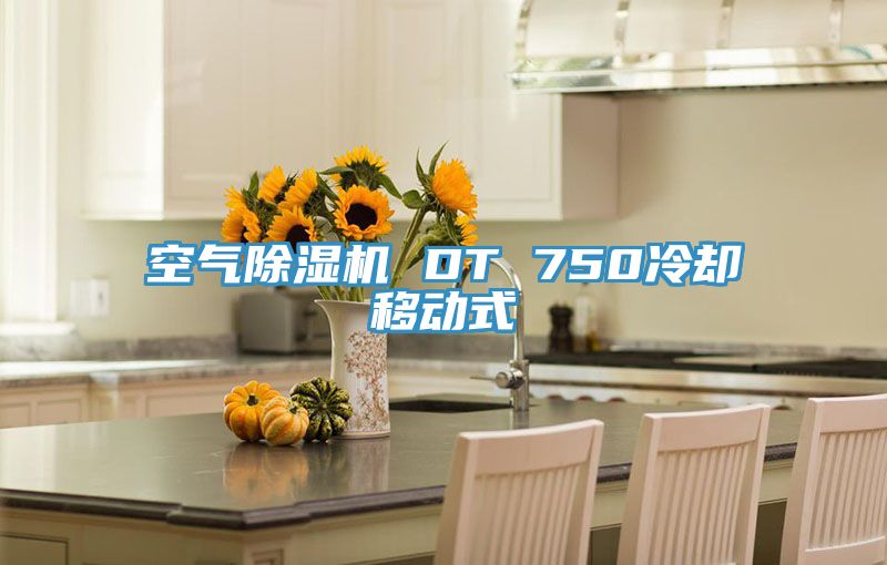 空氣PICACG哔咔官网入口 DT 750冷卻移動式