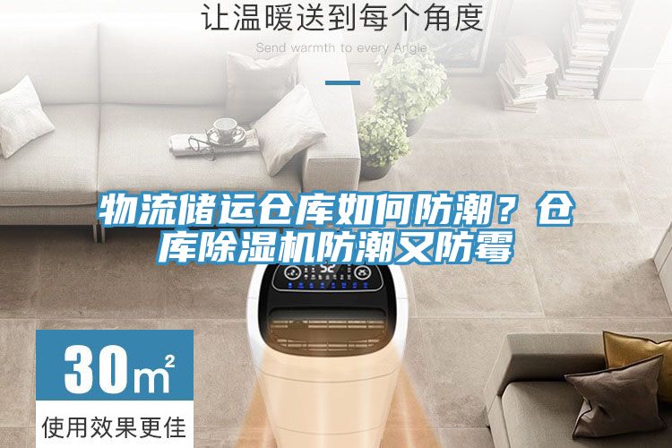 物流儲運倉庫如何防潮？倉庫PICACG哔咔官网入口防潮又防黴