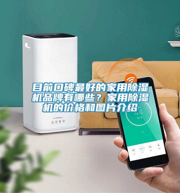 目前口碑最好的家用PICACG哔咔官网入口品牌有哪些？家用PICACG哔咔官网入口的價格和圖片介紹