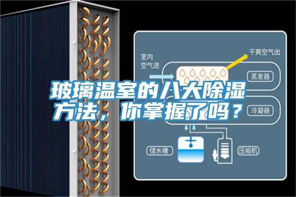 玻璃溫室的八大除濕方法，你掌握了嗎？