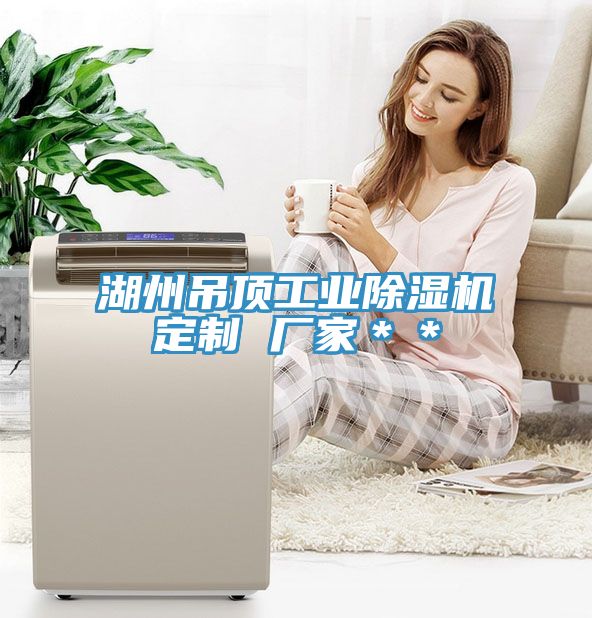 湖州吊頂工業PICACG哔咔官网入口定製 廠家＊＊