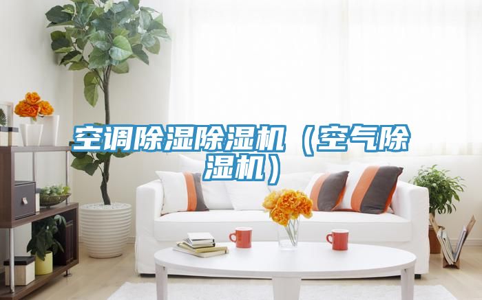 空調除濕PICACG哔咔官网入口（空氣PICACG哔咔官网入口）