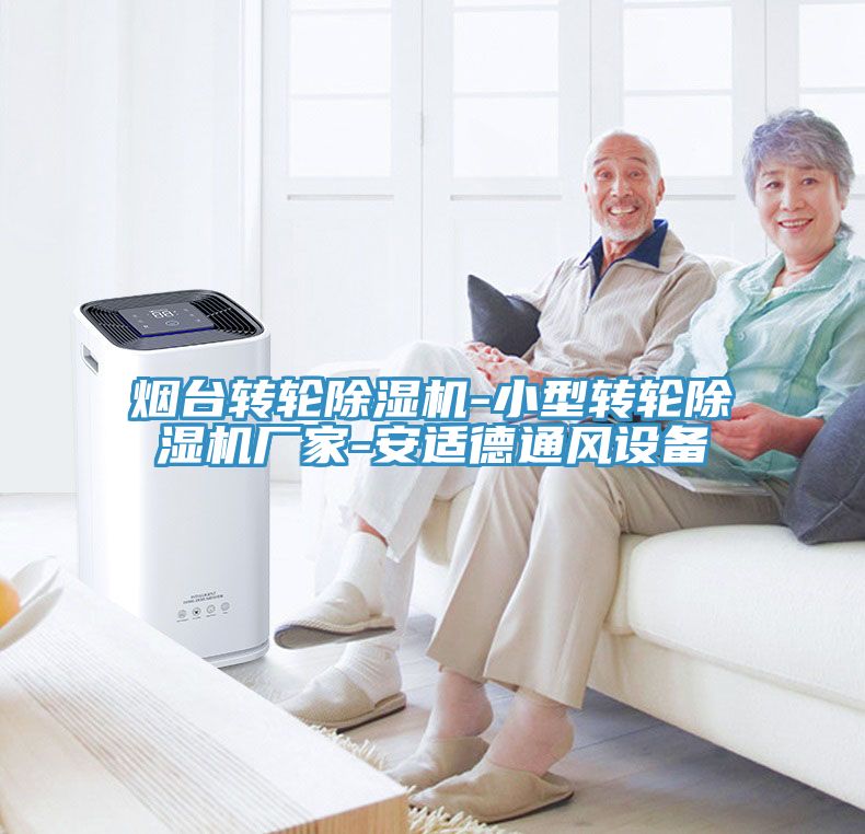 煙台轉輪PICACG哔咔官网入口-小型轉輪PICACG哔咔官网入口廠家-安適德通風設備