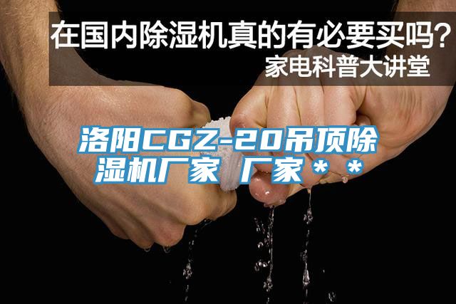 洛陽CGZ-20吊頂PICACG哔咔官网入口廠家 廠家＊＊
