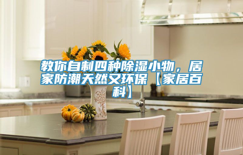 教你自製四種除濕小物，居家防潮天然又環保【家居百科】