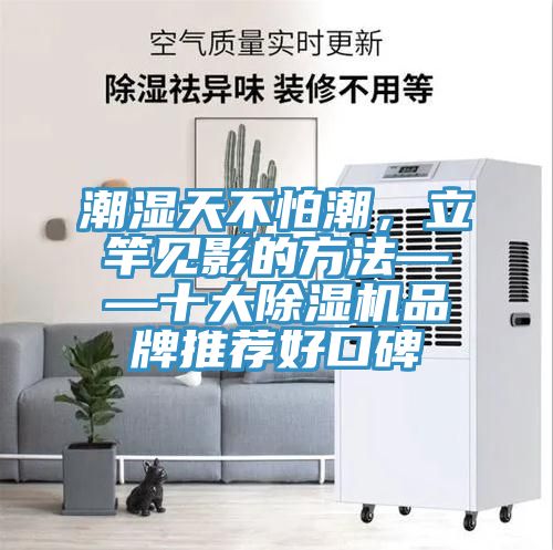 潮濕天不怕潮，立竿見影的方法——十大PICACG哔咔官网入口品牌推薦好口碑