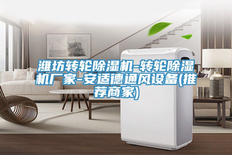 濰坊轉輪PICACG哔咔官网入口-轉輪PICACG哔咔官网入口廠家-安適德通風設備(推薦商家)