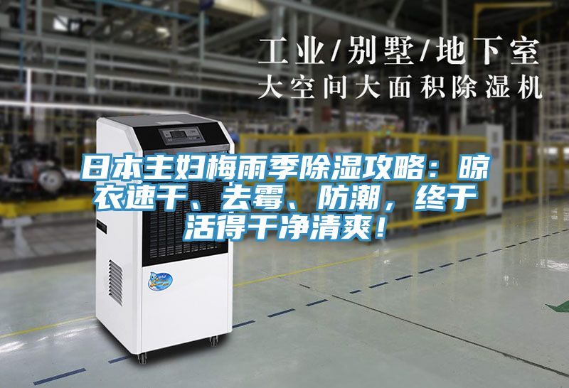 日本主婦梅雨季除濕攻略：晾衣速幹、去黴、防潮，終於活得幹淨清爽！