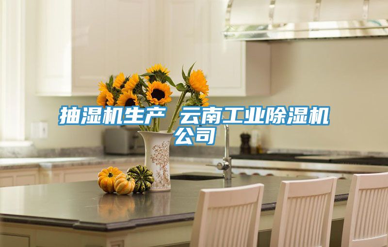 抽濕機生產 雲南工業PICACG哔咔官网入口公司