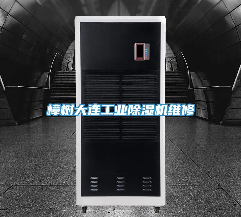 樟樹大連工業PICACG哔咔官网入口維修