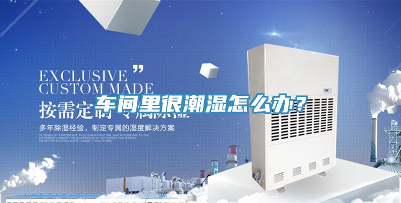 車間裏很潮濕怎麽辦？
