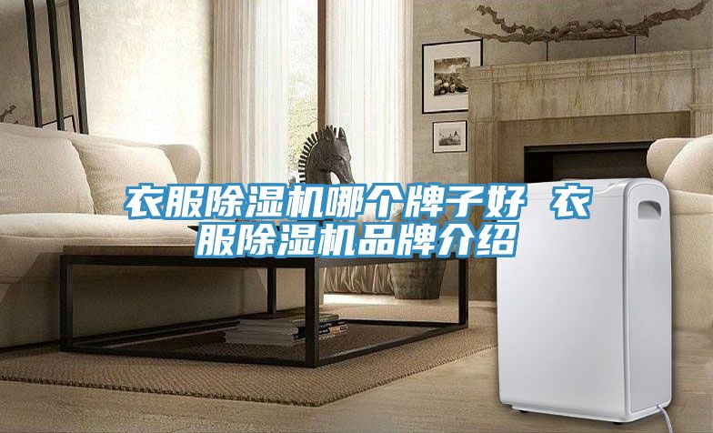 衣服PICACG哔咔官网入口哪個牌子好 衣服PICACG哔咔官网入口品牌介紹