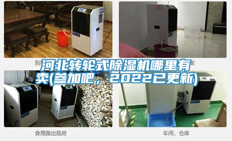 河北轉輪式PICACG哔咔官网入口哪裏有賣(參加吧，2022已更新)