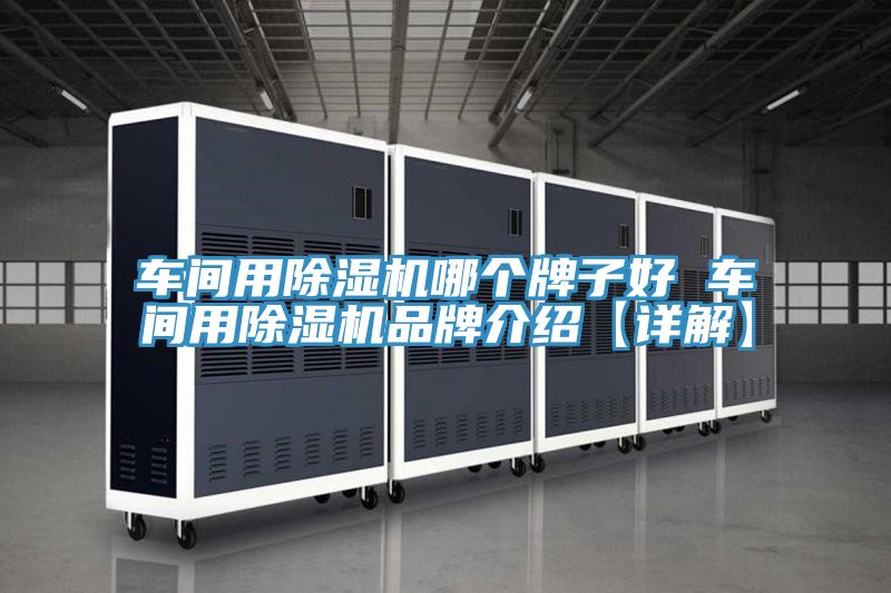 車間用PICACG哔咔官网入口哪個牌子好 車間用PICACG哔咔官网入口品牌介紹【詳解】