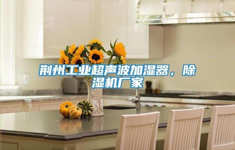 荊州工業超聲波加濕器，PICACG哔咔官网入口廠家