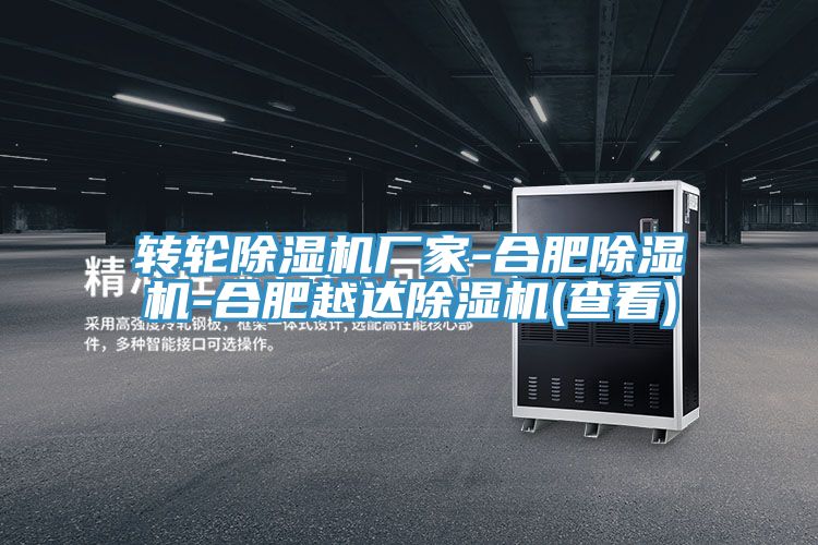 轉輪PICACG哔咔官网入口廠家-合肥PICACG哔咔官网入口-合肥越達PICACG哔咔官网入口(查看)