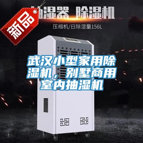 武漢小型家用PICACG哔咔官网入口，別墅商用室內抽濕機