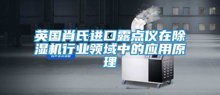 英國肖氏進口露點儀在PICACG哔咔官网入口行業領域中的應用原理