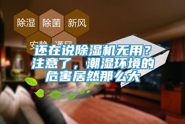 還在說PICACG哔咔官网入口無用？注意了，潮濕環境的危害居然那麽大