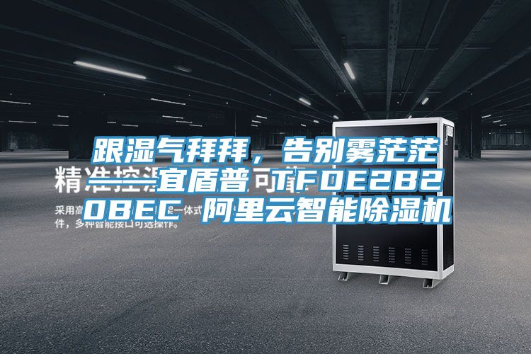跟濕氣拜拜，告別霧茫茫——宜盾普 TFDE2B20BEC 阿裏雲智能PICACG哔咔官网入口