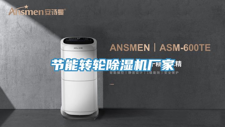 節能轉輪PICACG哔咔官网入口廠家