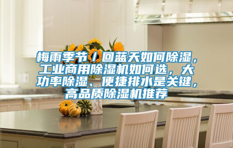 梅雨季節／回藍天如何除濕，工業商用PICACG哔咔官网入口如何選，大功率除濕、便捷排水是關鍵，高品質PICACG哔咔官网入口推薦