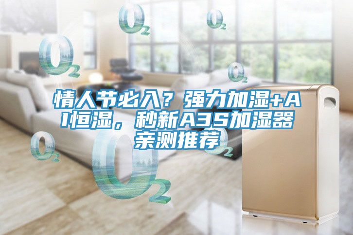 情人節必入？強力加濕+AI恒濕，秒新A3S加濕器親測推薦