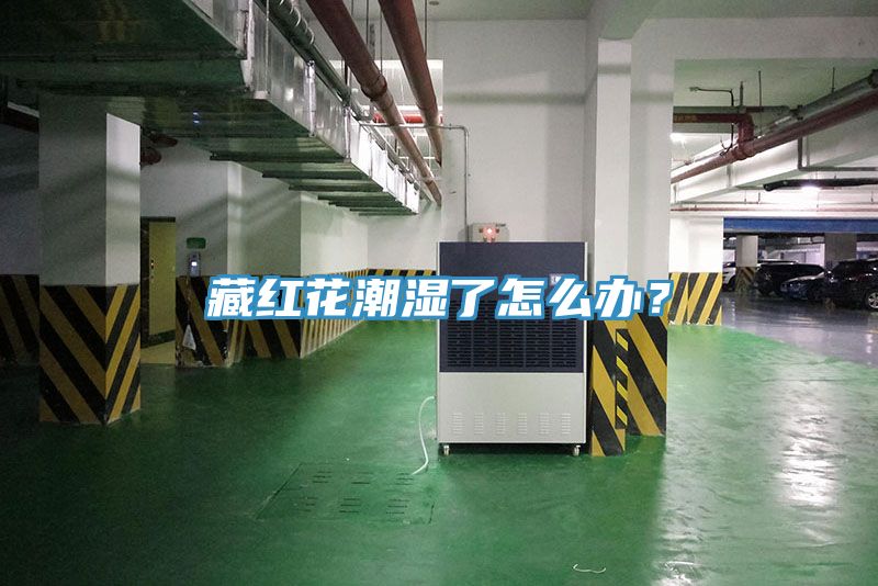 藏紅花潮濕了怎麽辦？