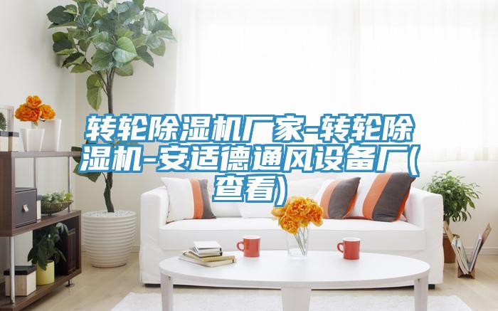 轉輪PICACG哔咔官网入口廠家-轉輪PICACG哔咔官网入口-安適德通風設備廠(查看)