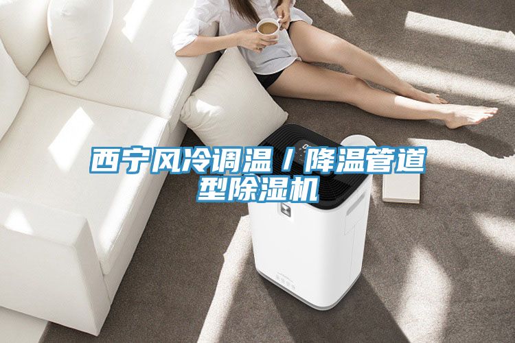 西寧風冷調溫／降溫管道型PICACG哔咔官网入口