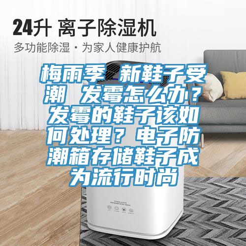 梅雨季 新鞋子受潮 發黴怎麽辦？發黴的鞋子該如何處理？電子防潮箱存儲鞋子成為流行時尚