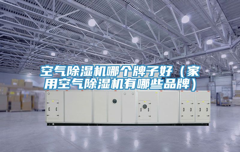 空氣PICACG哔咔官网入口哪個牌子好（家用空氣PICACG哔咔官网入口有哪些品牌）