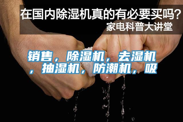 銷售，PICACG哔咔官网入口，去濕機，抽濕機，防潮機，吸