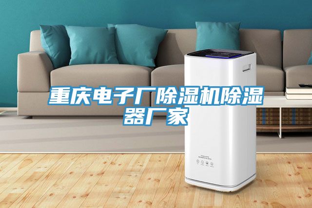 重慶電子廠PICACG哔咔官网入口除濕器廠家