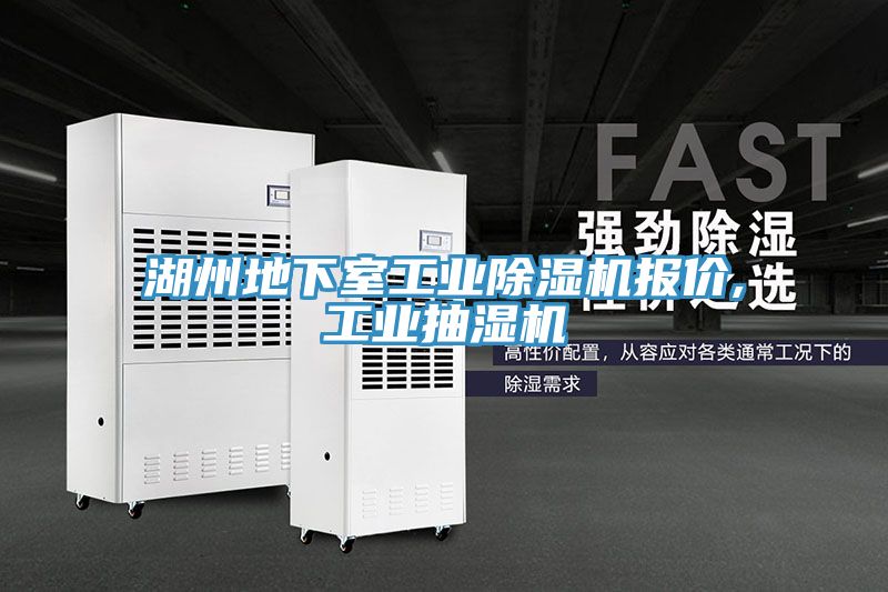 湖州地下室工業PICACG哔咔官网入口報價,工業抽濕機