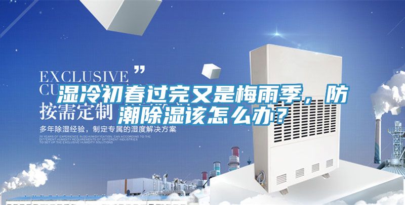 濕冷初春過完又是梅雨季，防潮除濕該怎麽辦？