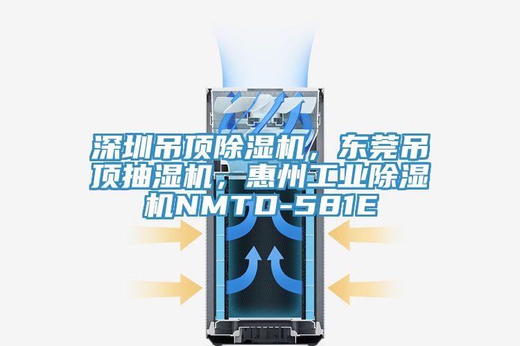 深圳吊頂PICACG哔咔官网入口，東莞吊頂抽濕機，惠州工業PICACG哔咔官网入口NMTD-581E