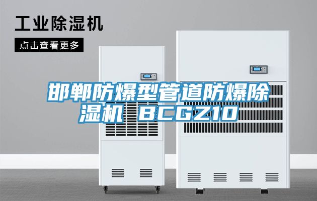 邯鄲防爆型管道防爆PICACG哔咔官网入口 BCGZ10