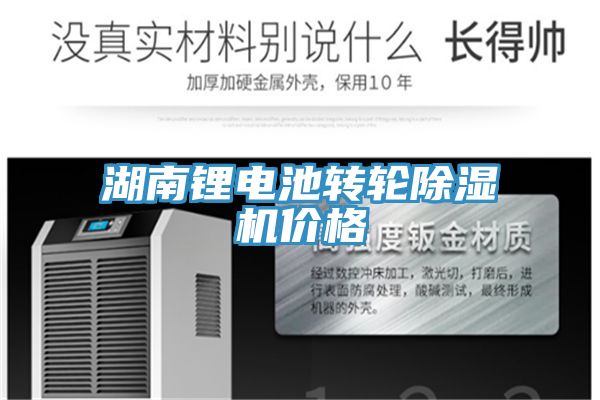 湖南鋰電池轉輪PICACG哔咔官网入口價格