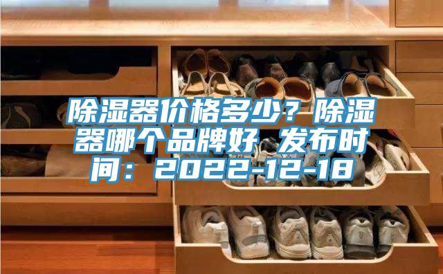 除濕器價格多少？除濕器哪個品牌好 發布時間：2022-12-18