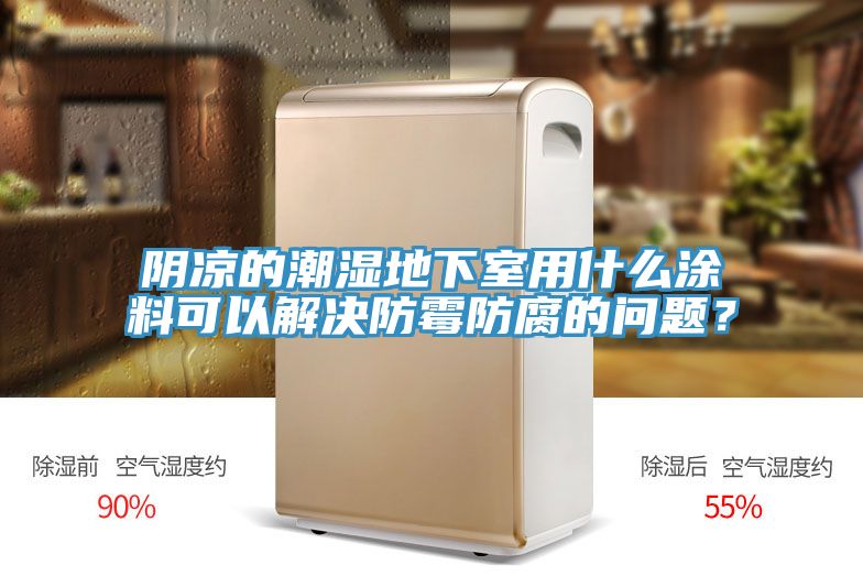 陰涼的潮濕地下室用什麽塗料可以解決防黴防腐的問題？