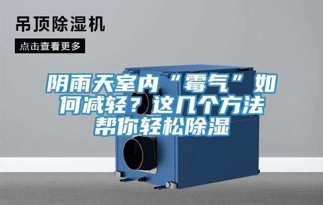 陰雨天室內“黴氣”如何減輕？這幾個方法幫你輕鬆除濕