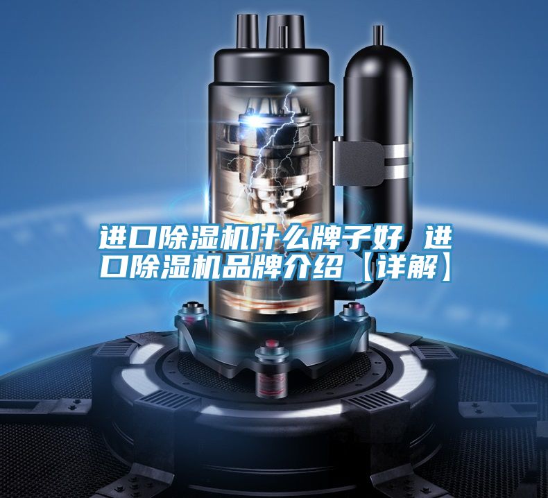 進口PICACG哔咔官网入口什麽牌子好 進口PICACG哔咔官网入口品牌介紹【詳解】