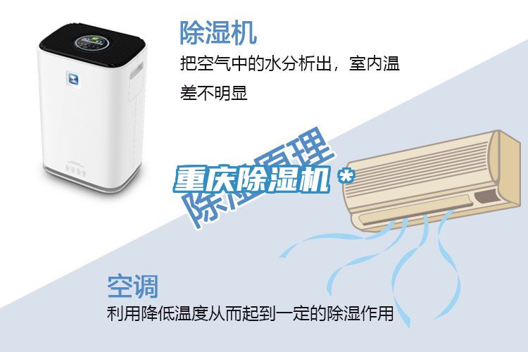 重慶PICACG哔咔官网入口＊